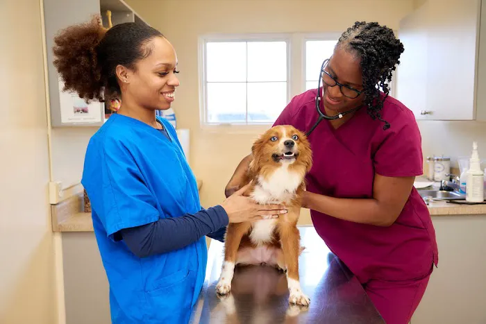 Armistead Avenue Veterinary Hospital 12