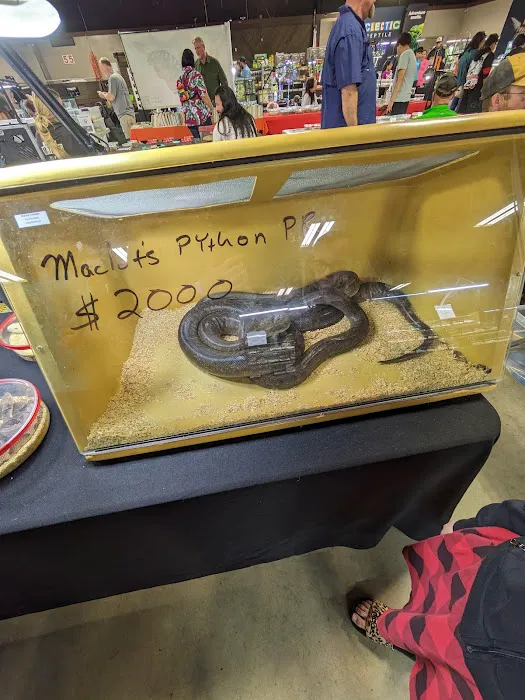 Texas Reptile Expos 8