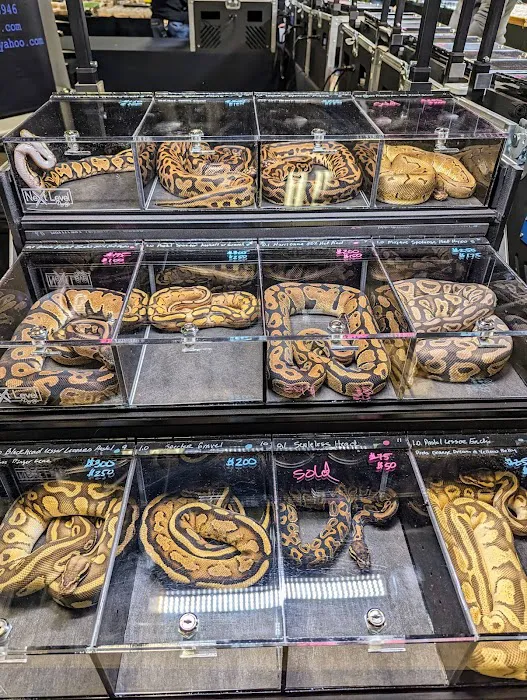 Texas Reptile Expos 5