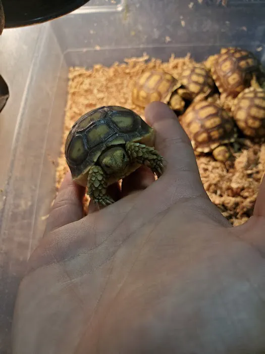 Texas Reptile Expos 9