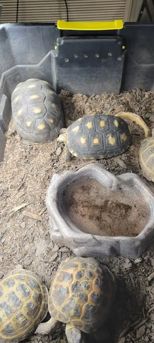 Texas Reptile Expos 7