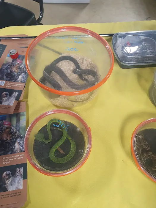 Texas Reptile Expos 2