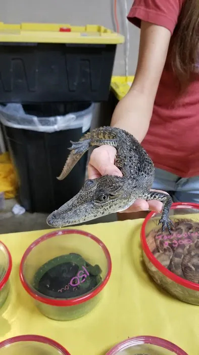 Texas Reptile Expos 6