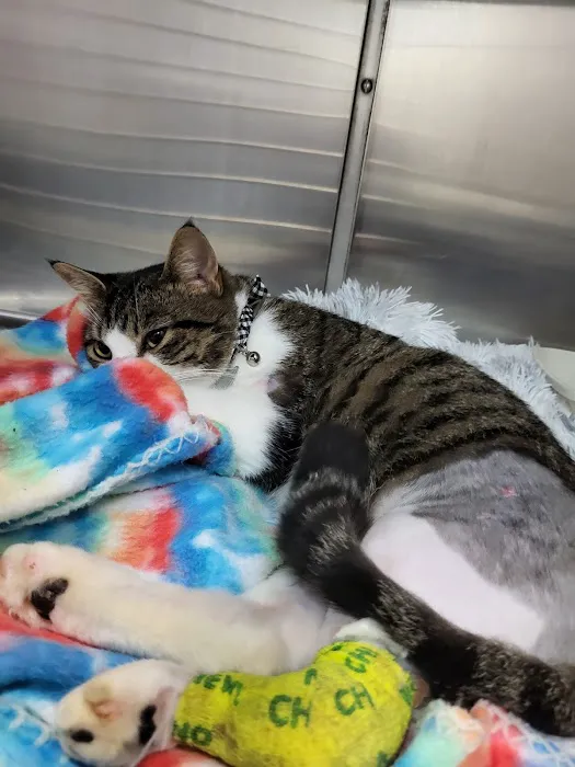 Freed Veterinary Hospital 12