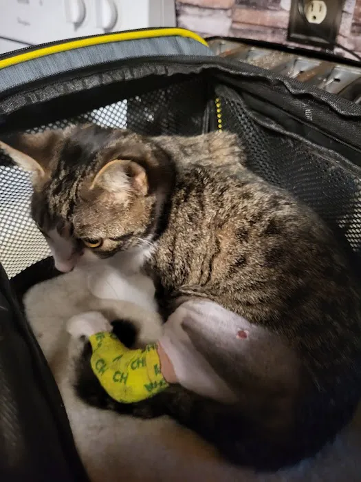 Freed Veterinary Hospital 12