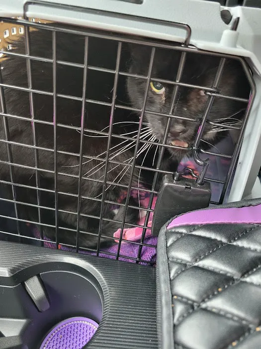 Freed Veterinary Hospital 12