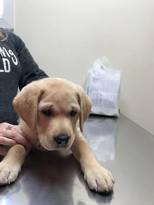 Magruder Tabb Animal Clinic 12