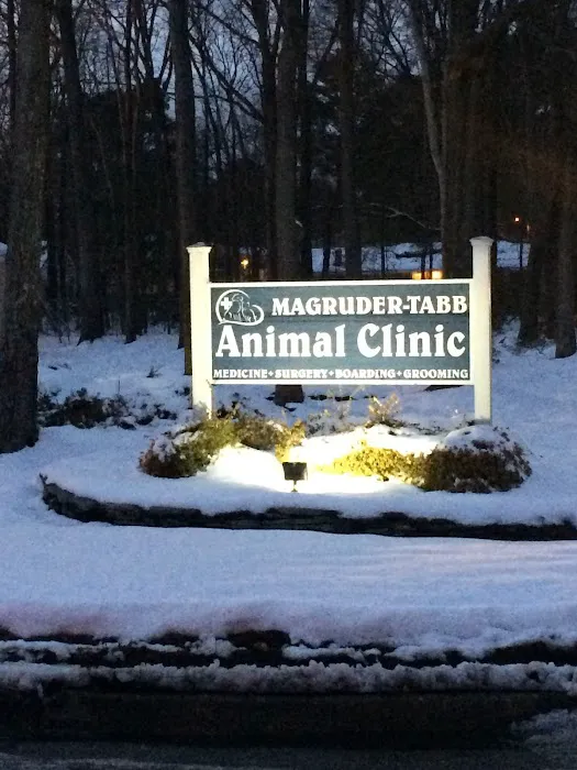 Magruder Tabb Animal Clinic 12