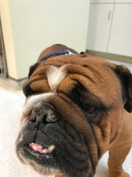 Magruder Tabb Animal Clinic 12