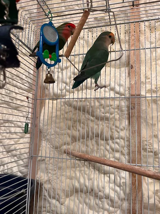 CS Bird Aviary Farm & More 4