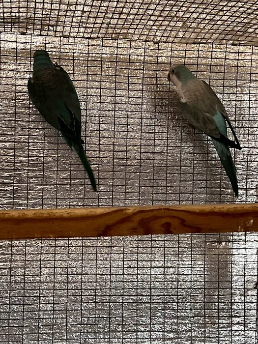 CS Bird Aviary Farm & More 8