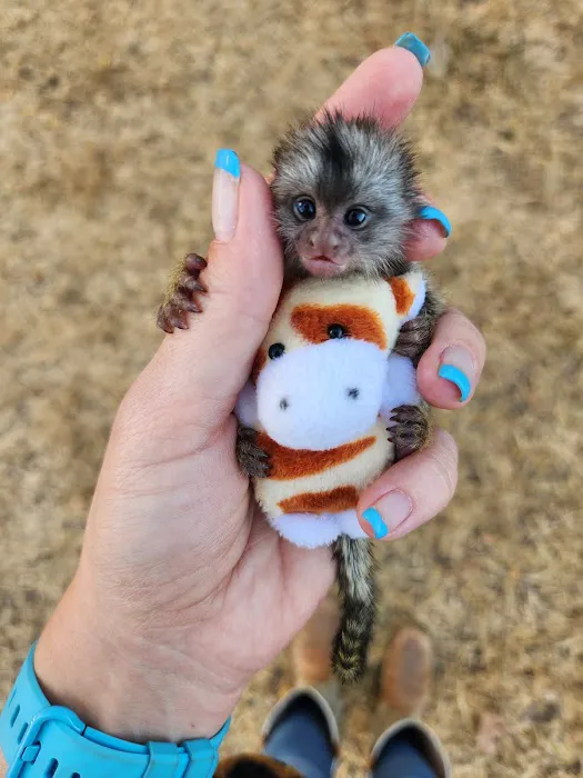 Janda Exotics Animal Ranch 1