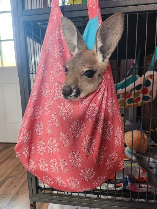 Janda Exotics Animal Ranch 10
