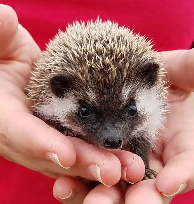 Janda Exotics Animal Ranch 7
