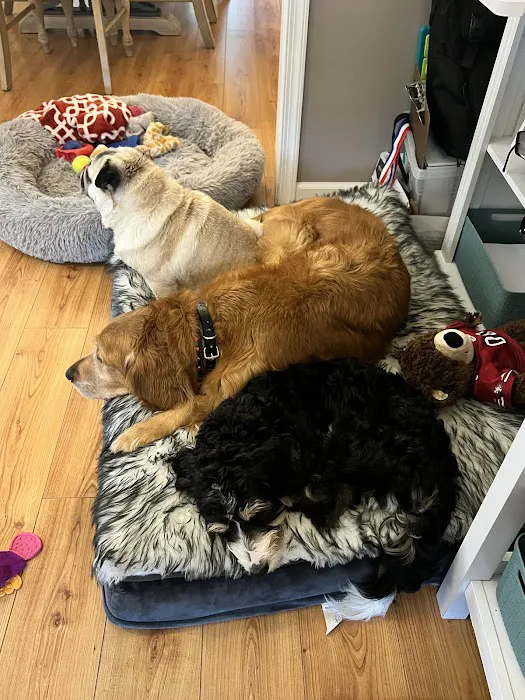 Salty Paws Veterinary Hospital 12