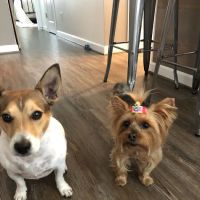 Salty Paws Veterinary Hospital ico