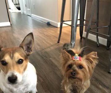Salty Paws Veterinary Hospital