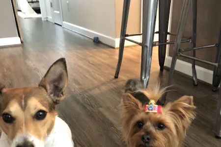 Salty Paws Veterinary Hospital