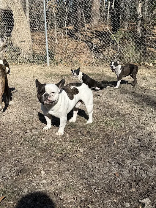Salty Paws Veterinary Hospital 12
