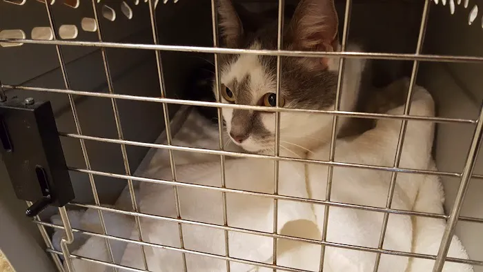 Salty Paws Veterinary Hospital 12