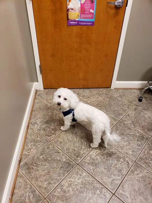 Salty Paws Veterinary Hospital 12