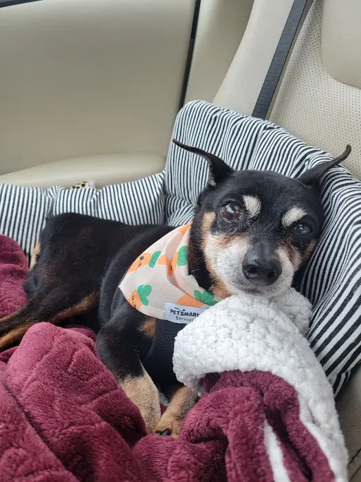 Salty Paws Veterinary Hospital 12