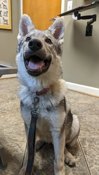 Salty Paws Veterinary Hospital 12
