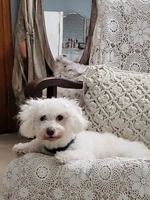 Salty Paws Veterinary Hospital 12