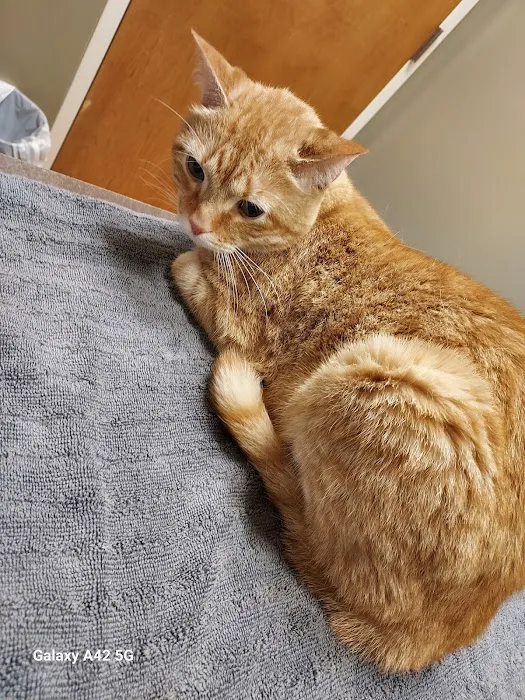 Salty Paws Veterinary Hospital 12