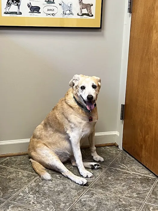 Salty Paws Veterinary Hospital 12