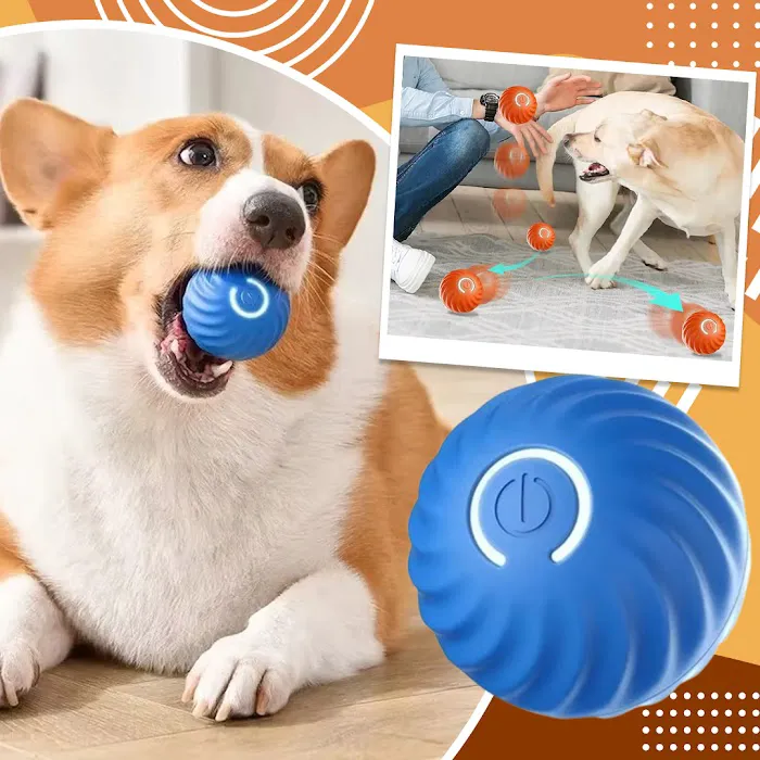 Paw-Approved Toys 2