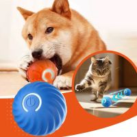 Paw-Approved Toys ico