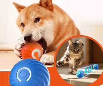 Paw-Approved Toys