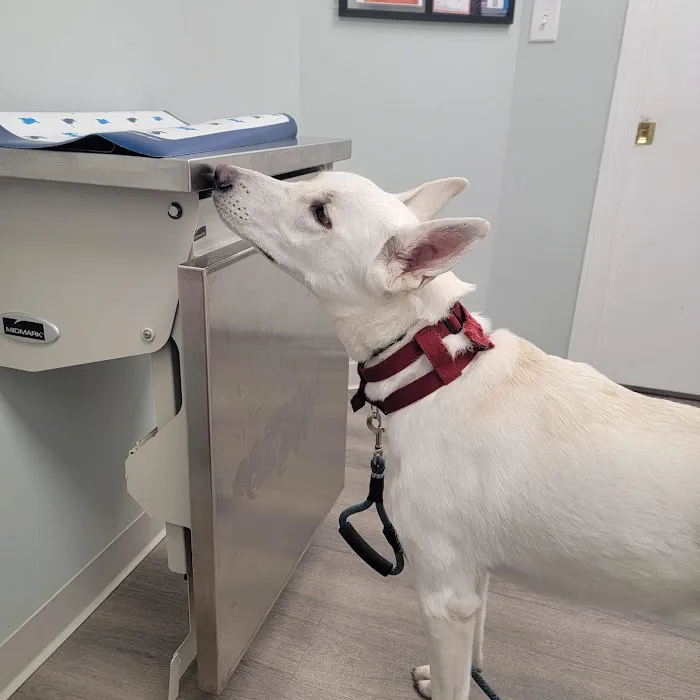 Animal Medical Care Center 12
