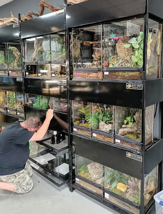 Gecko World Austin 2