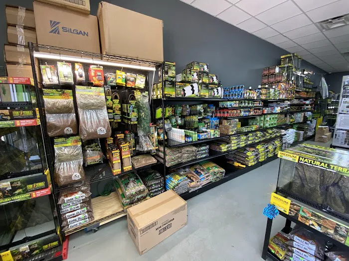 Gecko World Austin 9