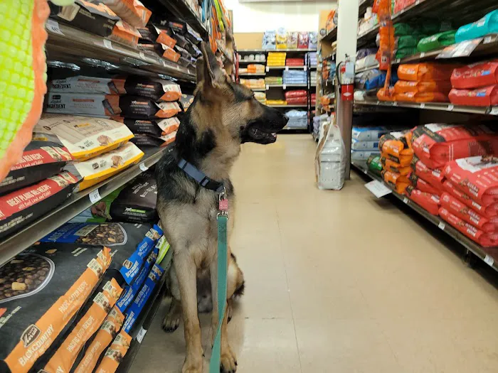 Petco 4
