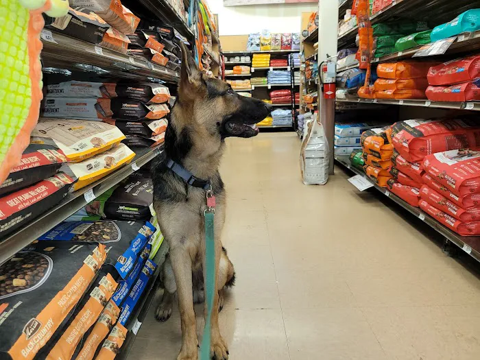 Petco 5