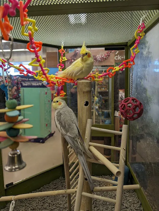 Petco 10