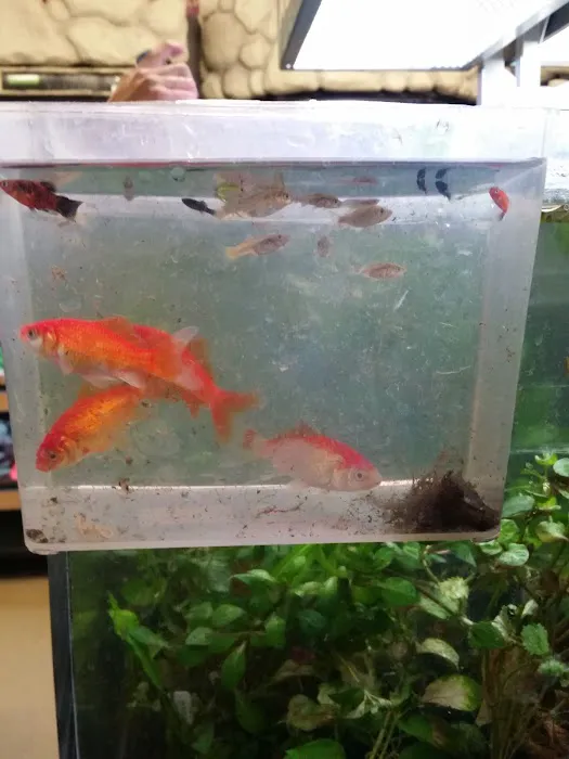 Petco 2