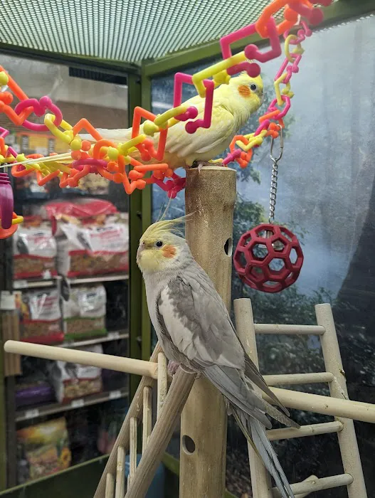 Petco 7