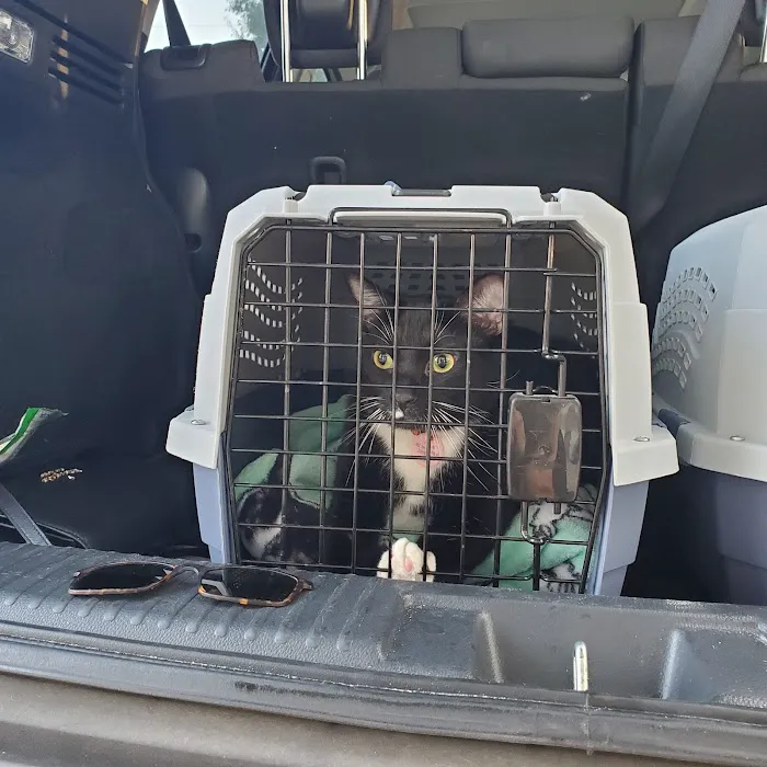 Small Paws Veterinary Clinic 5