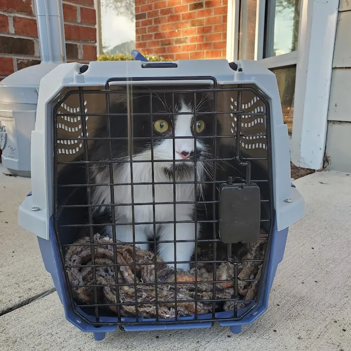 Small Paws Veterinary Clinic 6