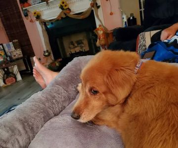 Wateree Animal Hospital