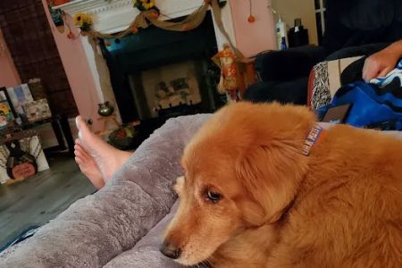 Wateree Animal Hospital
