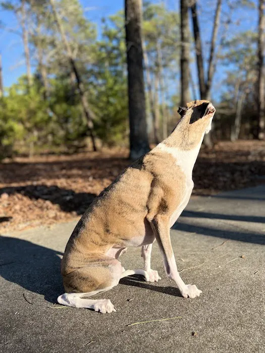 Wateree Animal Hospital 7
