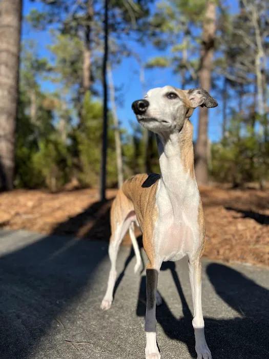 Wateree Animal Hospital 6