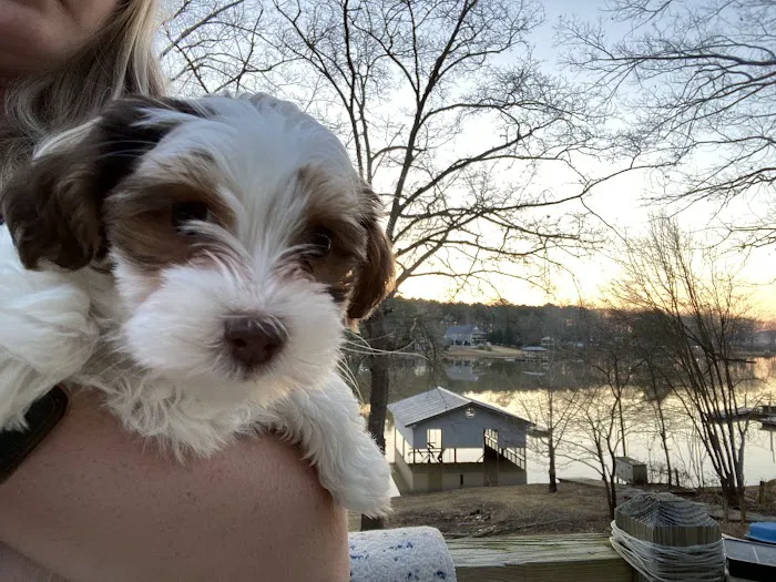Wateree Animal Hospital 5