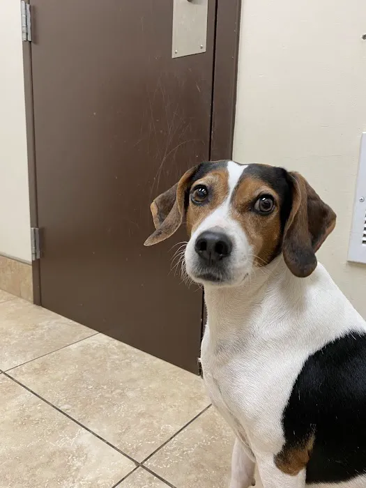 Wateree Animal Hospital 2