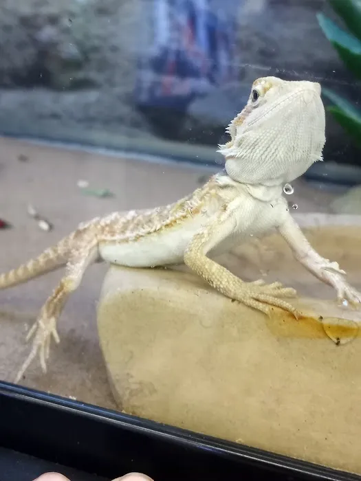 Petco 3